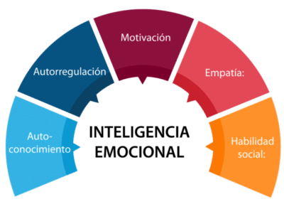 ¿Es importante la inteligencia emocional en las organizaciones? - RHT ...